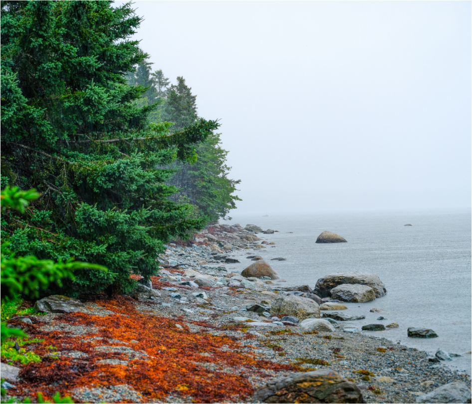 Maine Beach