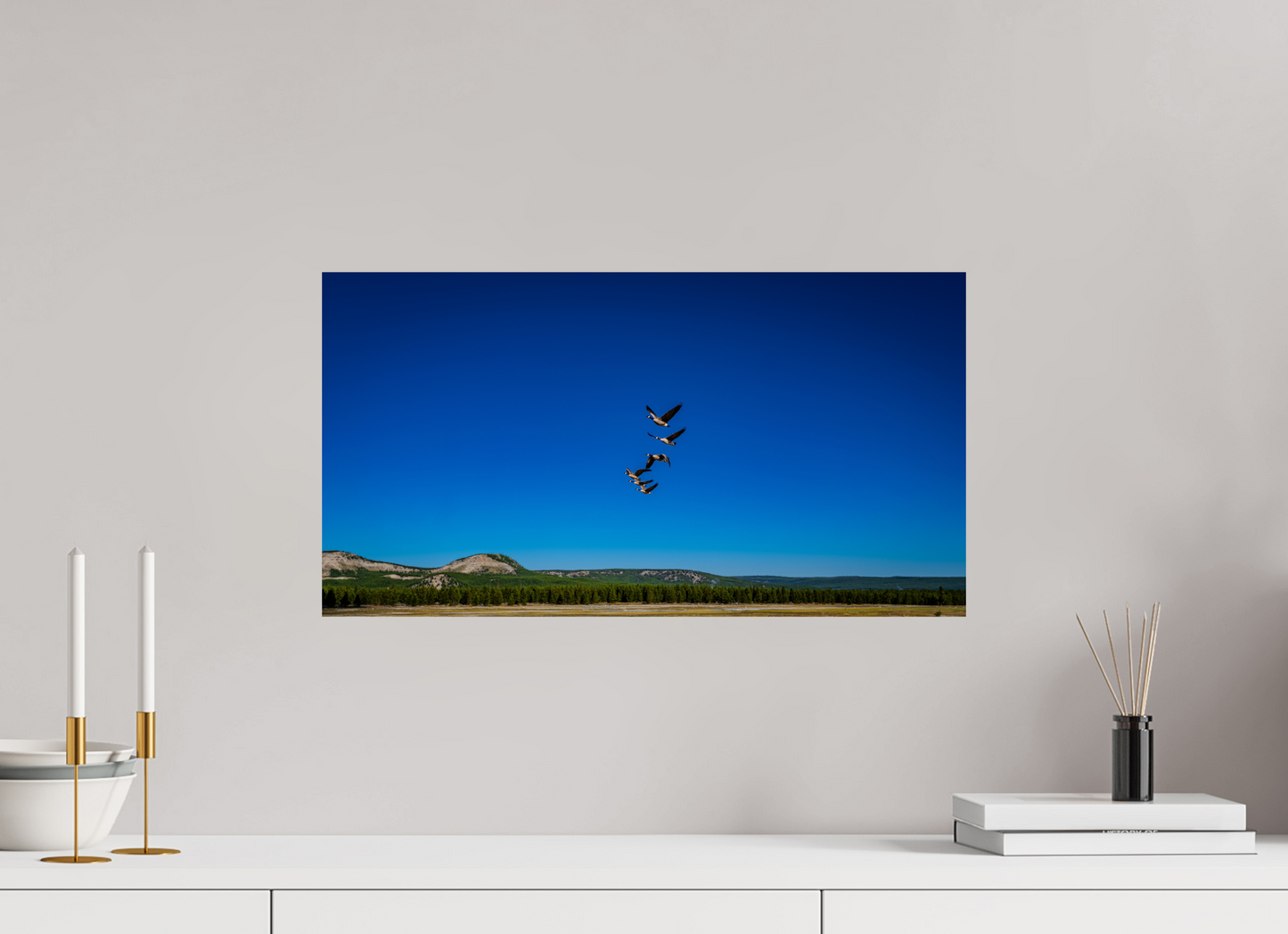 Geese Fly