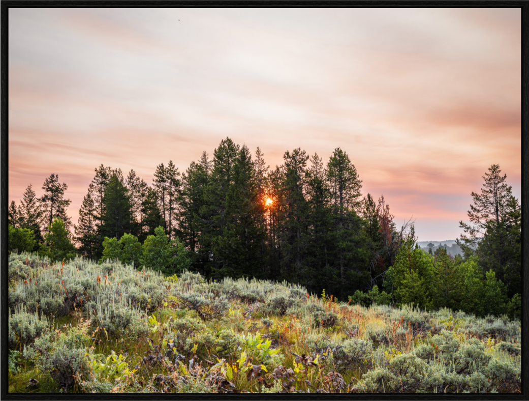 Teton Sunrise