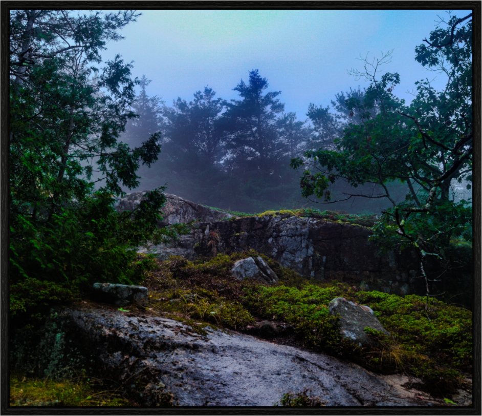 Maine Fog