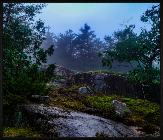 Maine Fog
